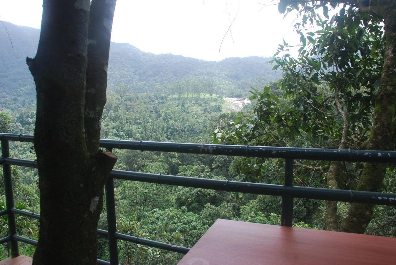 Wild Elephant Eco Friendly Resort Munnar Kültér fotó