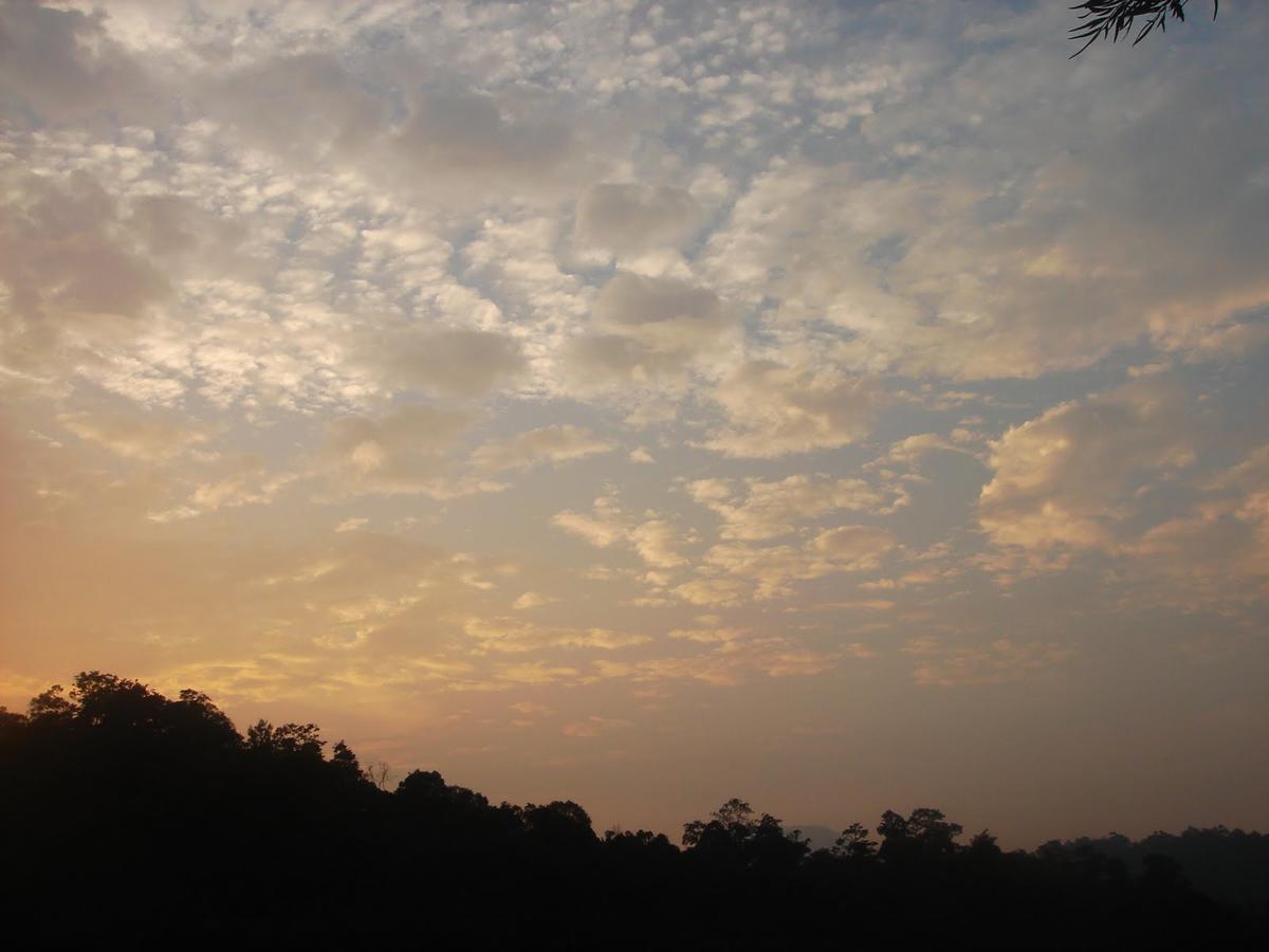 Wild Elephant Eco Friendly Resort Munnar Kültér fotó