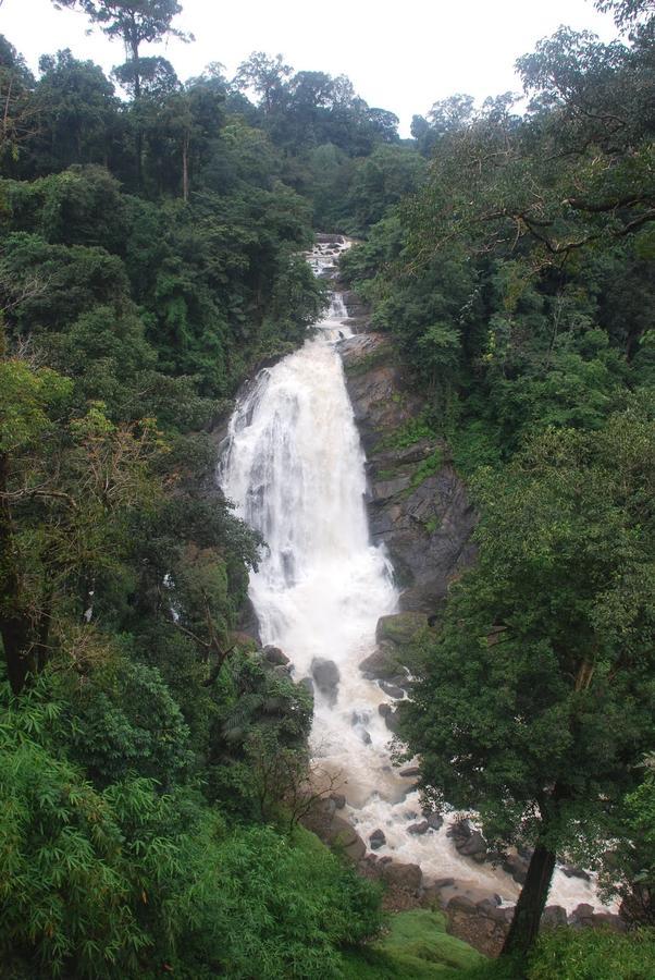 Wild Elephant Eco Friendly Resort Munnar Kültér fotó