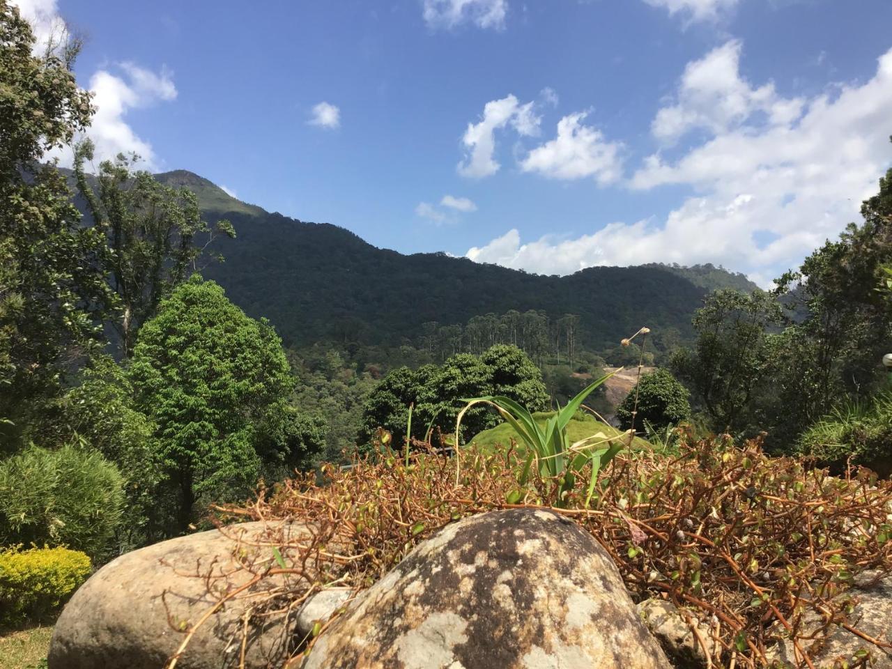 Wild Elephant Eco Friendly Resort Munnar Kültér fotó