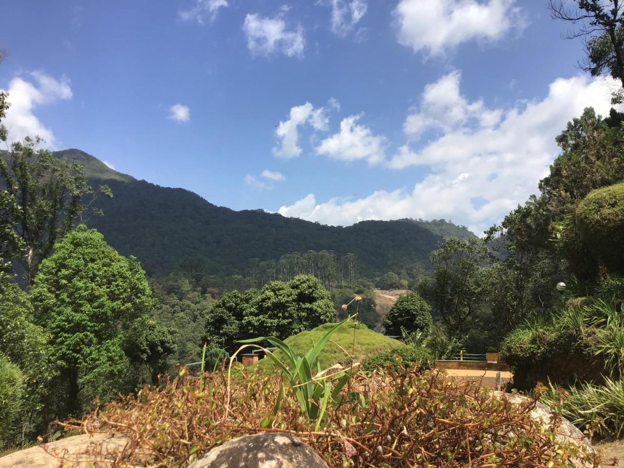 Wild Elephant Eco Friendly Resort Munnar Kültér fotó