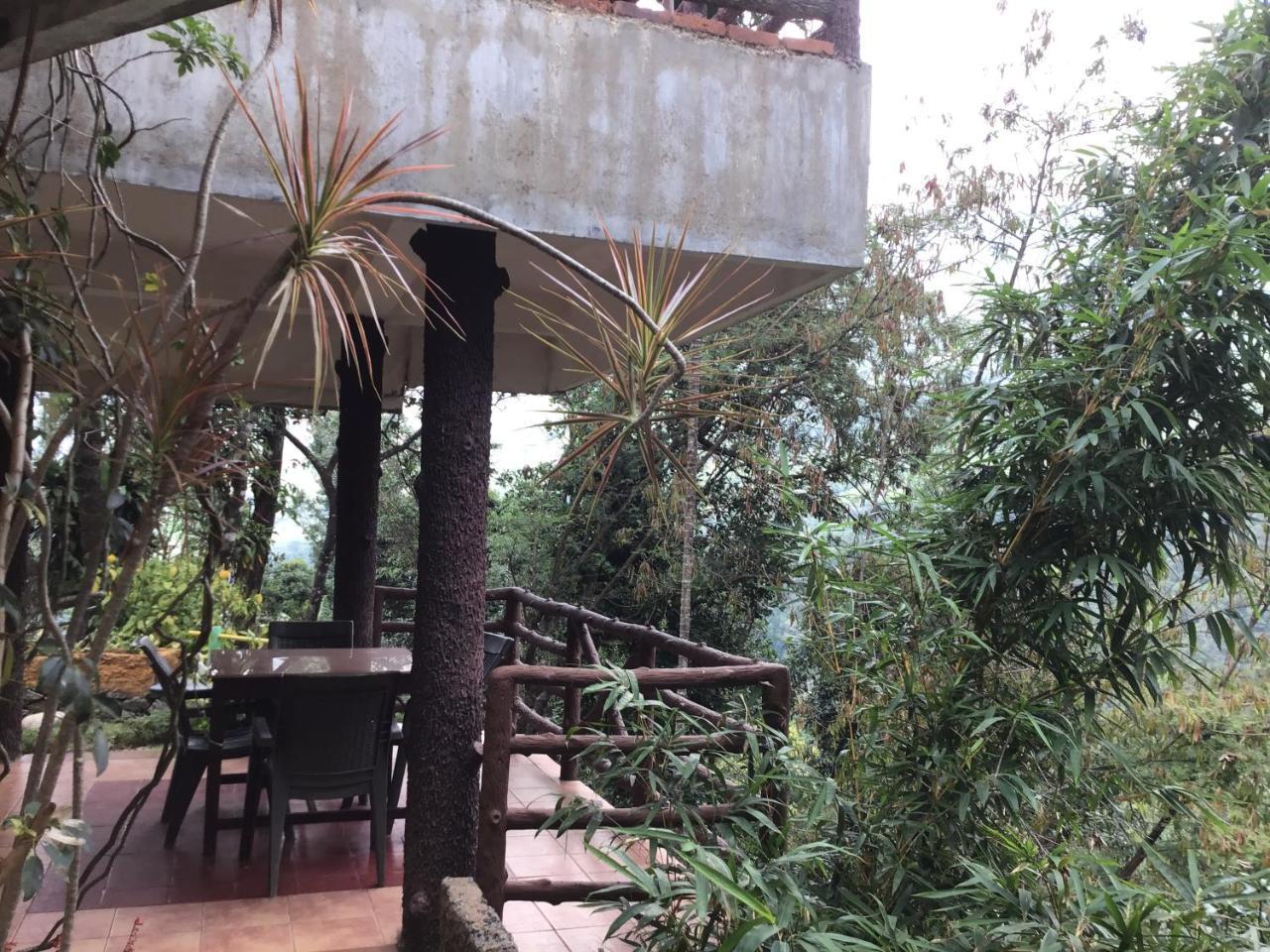 Wild Elephant Eco Friendly Resort Munnar Kültér fotó