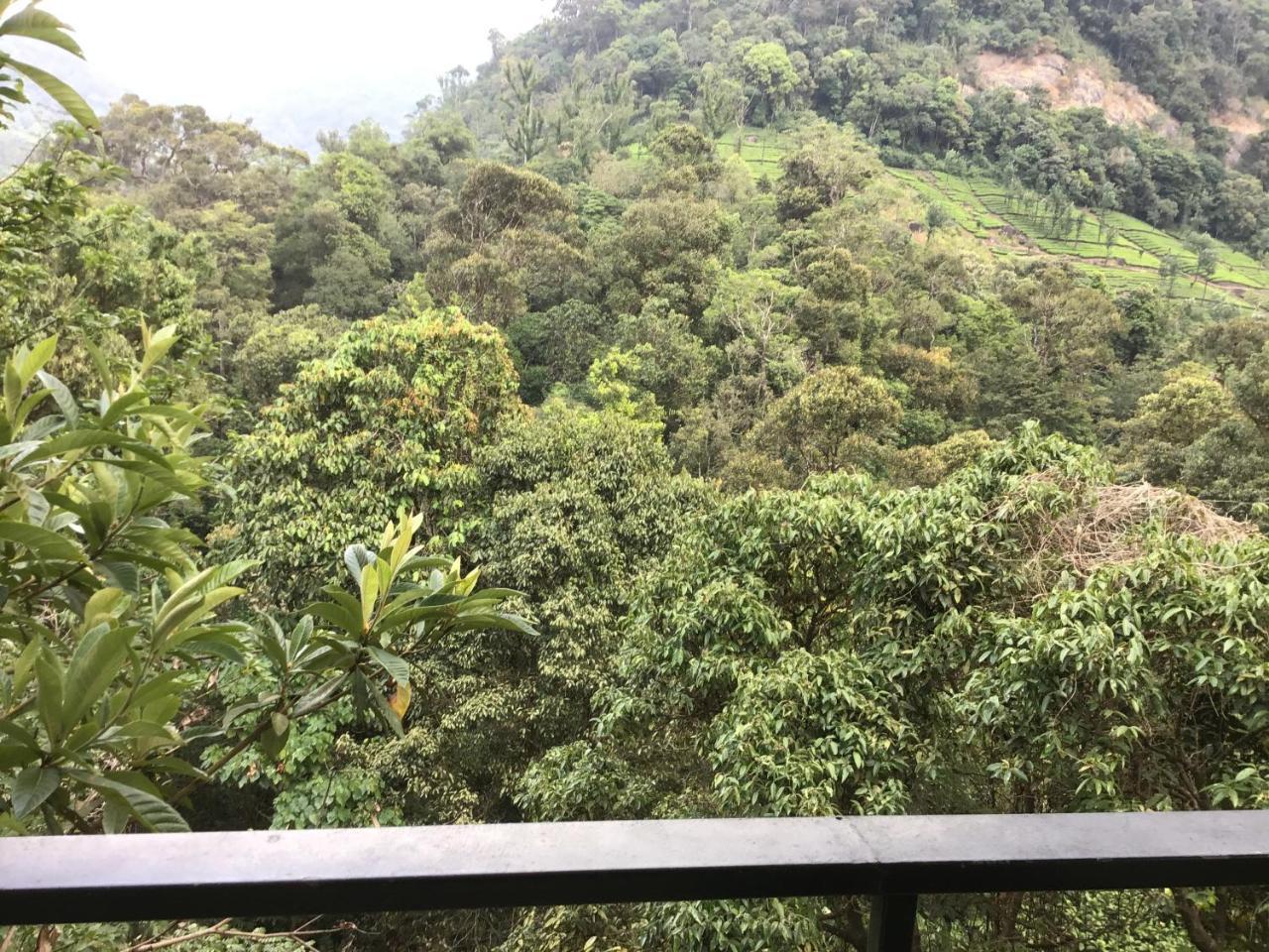 Wild Elephant Eco Friendly Resort Munnar Kültér fotó