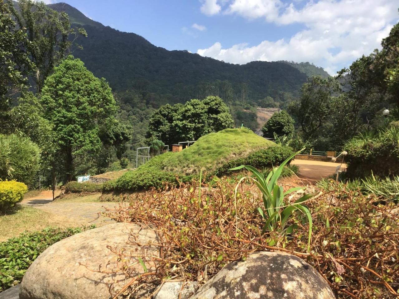 Wild Elephant Eco Friendly Resort Munnar Kültér fotó