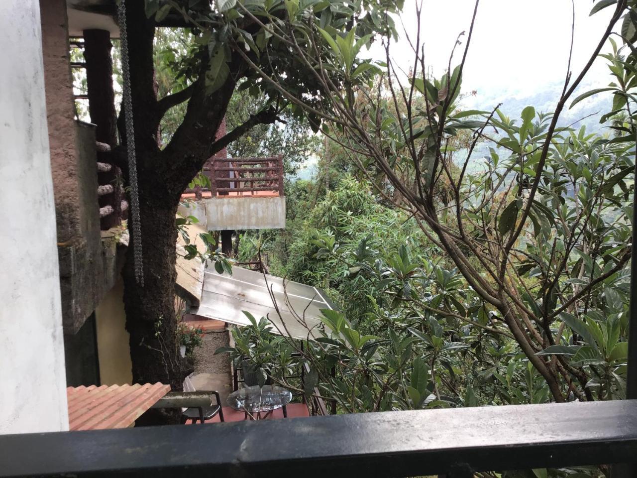 Wild Elephant Eco Friendly Resort Munnar Kültér fotó